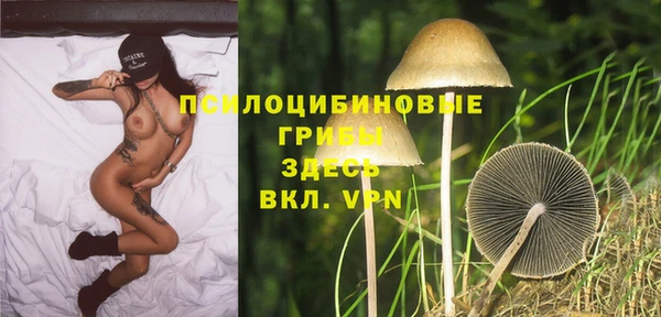 а пвп мука Абаза