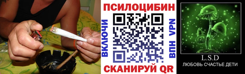 Галлюциногенные грибы MAGIC MUSHROOMS  цены наркотик  Ялта 
