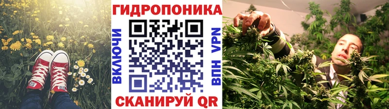 Бошки Шишки гибрид  Ялта 